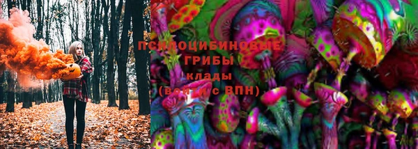 тгк Алексин
