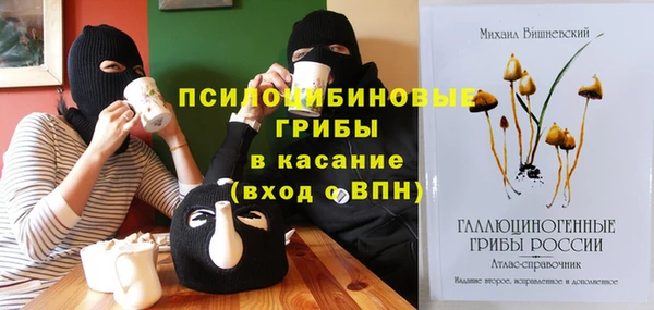 mdpv Алзамай