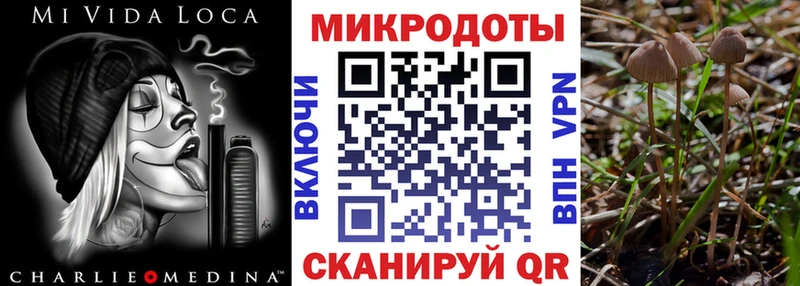 мориарти телеграм  Курчалой  Галлюциногенные грибы прущие грибы 
